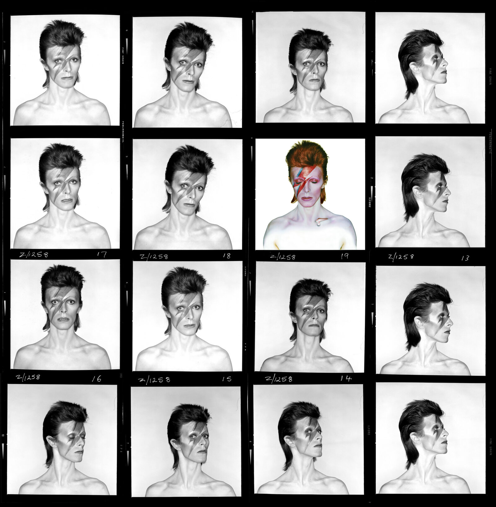 Sixteen photos of David Bowie, all but one in black and white.