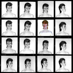 Sixteen photos of David Bowie, all but one in black and white.