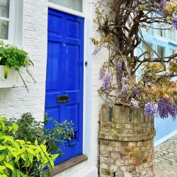 A beautiful cottage adorned with wisteria in Notting Hill.