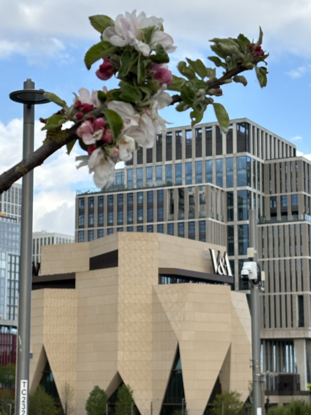 Pink and white spring blossom in the foreground with the sand-coloured V&A East Museum building in the distance.