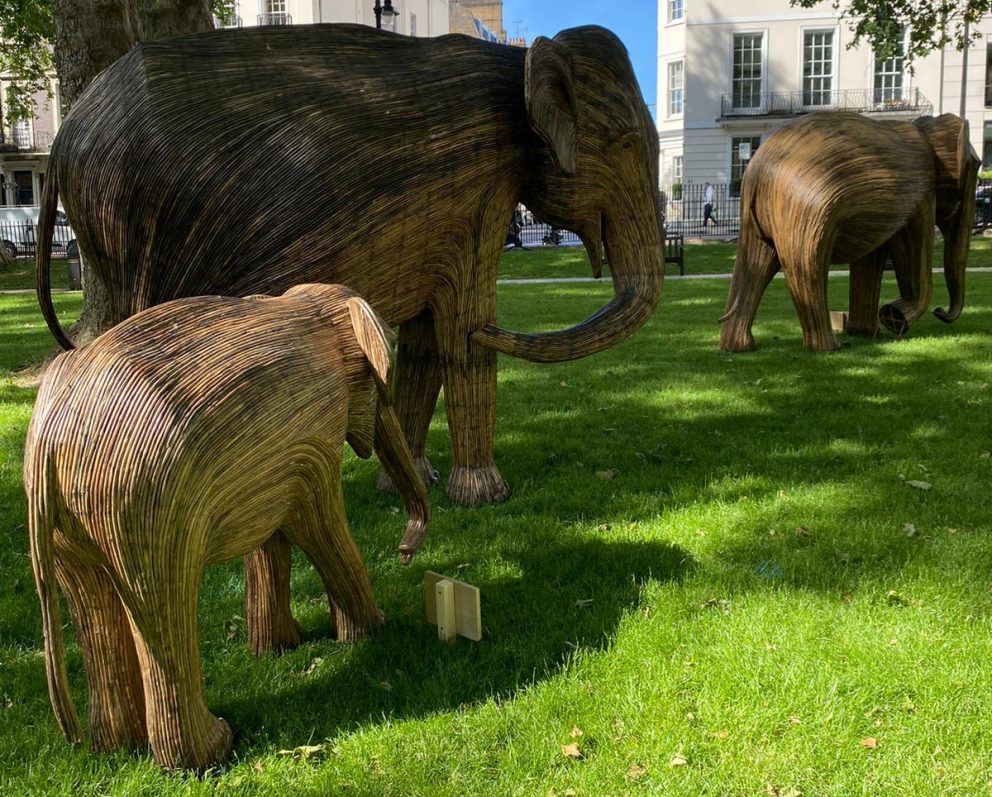 Elephant sculptures on display in London's parks Hertford Street