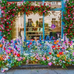 Beautiful multi-coloured floral display for the Chelsea in Bloom competition.