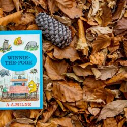A copy of Winnie-the-Pooh, with illustrations of the characters with a blue surround, on a bed of leaves.