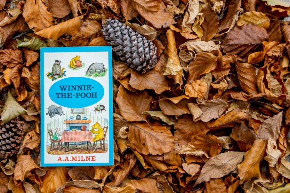 A copy of Winnie-the-Pooh, with illustrations of the characters with a blue surround, on a bed of leaves.