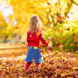 The back of a young child, wearing a red jumper and denim skirt, playing with fallen leaves.