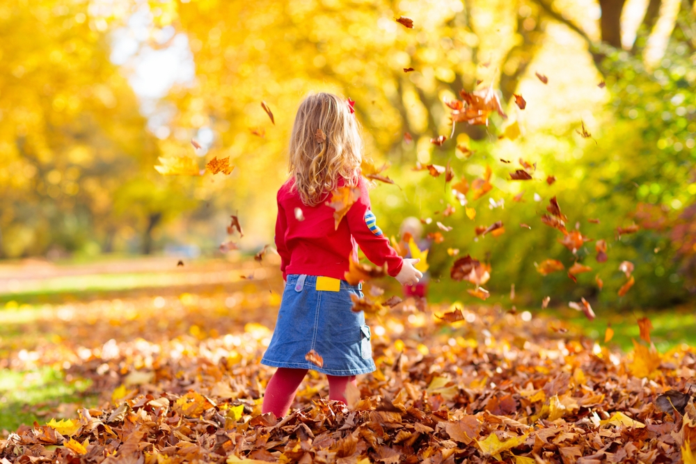 The back of a young child, wearing a red jumper and denim skirt, playing with fallen leaves.