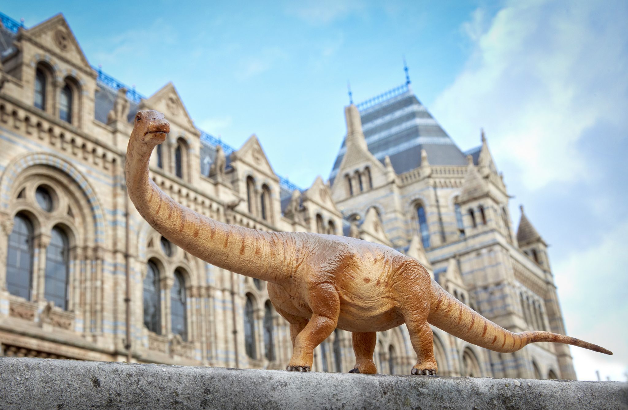Titanosaur Life as the Biggest Dinosaur at the Natural History Museum
